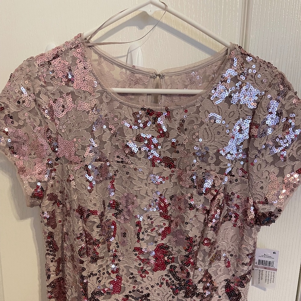 SLNY, S.L. Fashions Women's Sequin Lace Fit and Flare Dress